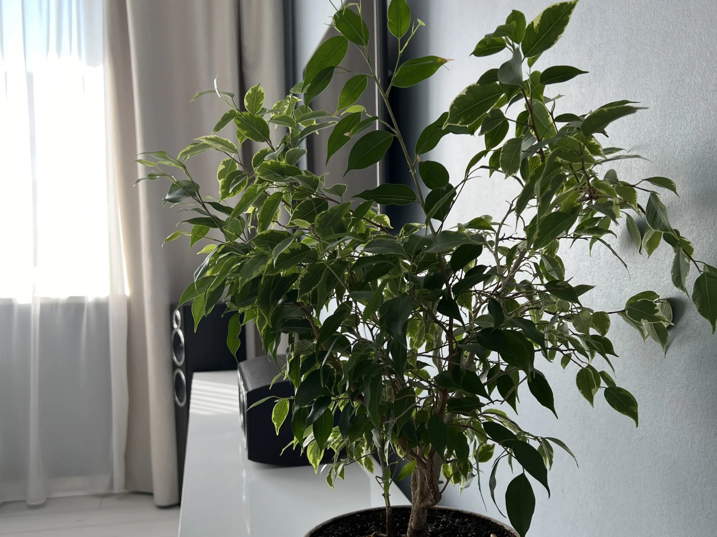 Квартира в которой Ожидания и Реальность совпадают