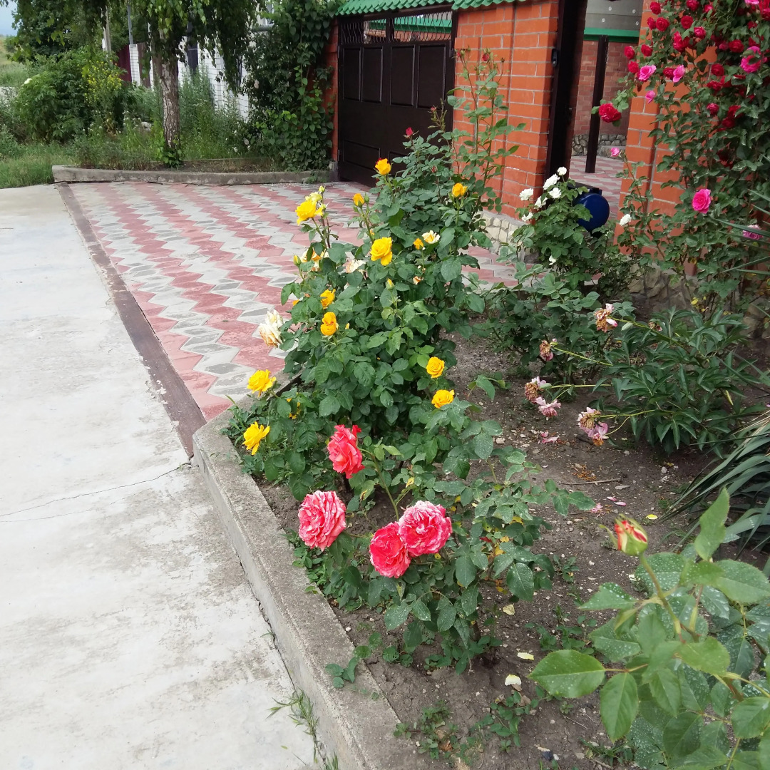 Частный дом на Крутой