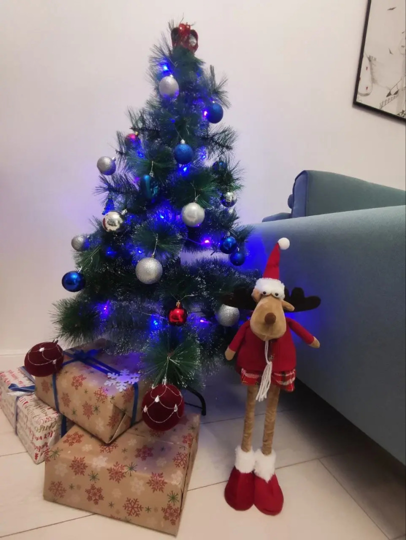 Апартаменты Алиса в Стране Чудес вблизи Южного парка