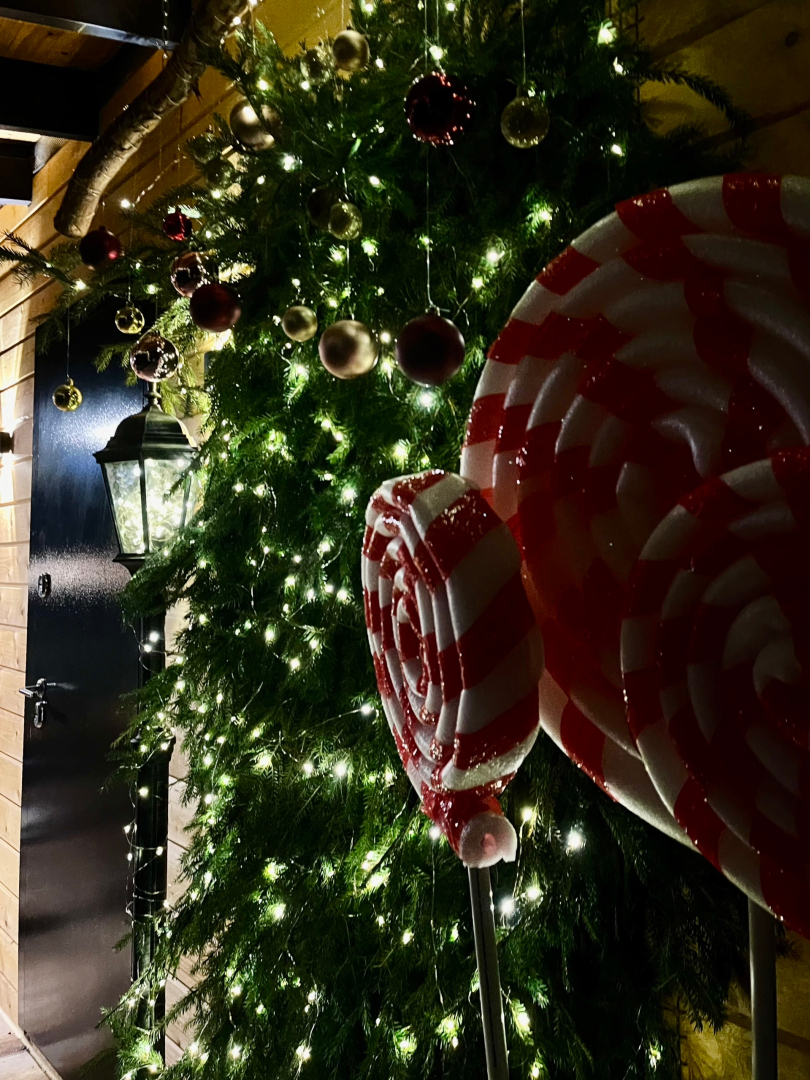 Частный дом Zaгородом