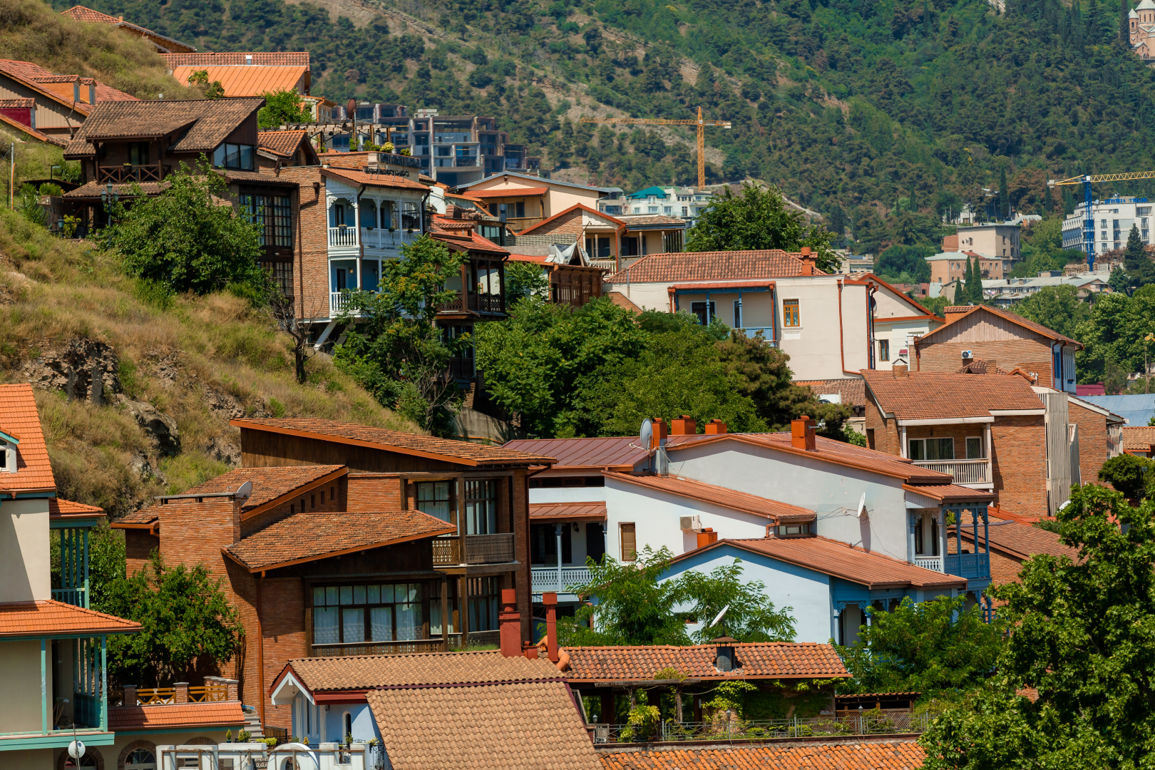 Отель Gvino Minda