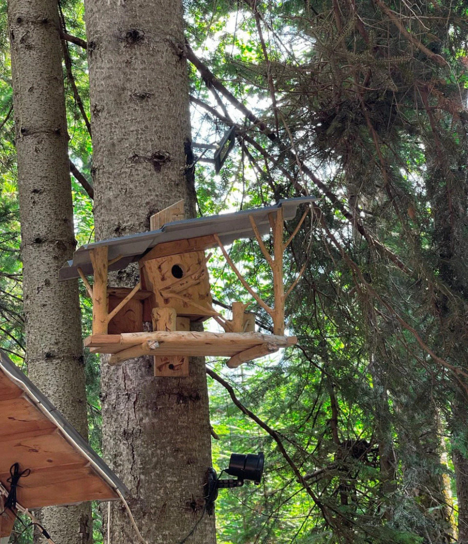 Гостевой Дом Архыз Шале Хаус