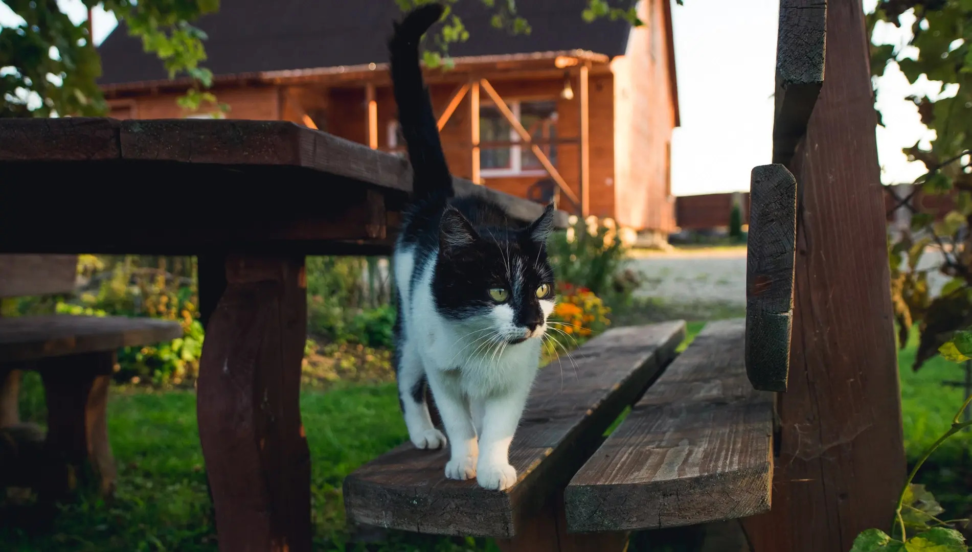 Гостевой дом Мечта в Беловежской Пуще