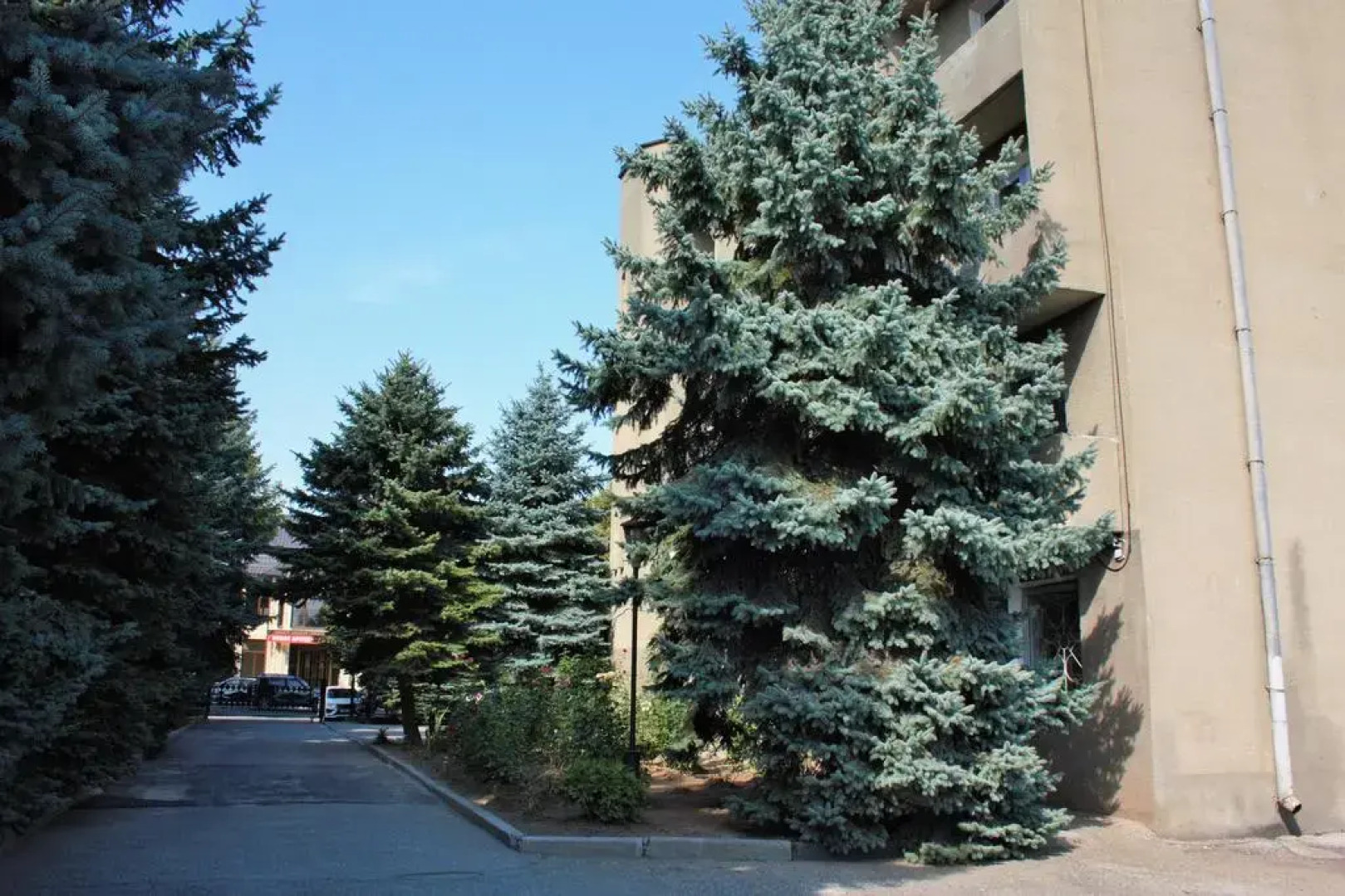 Отель Альпинист