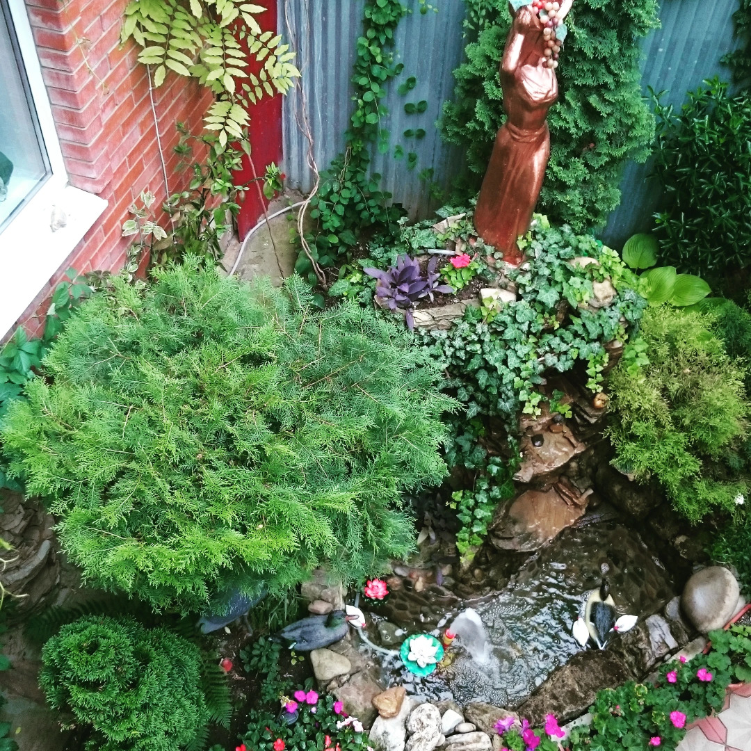 Гостевой дом Катерина