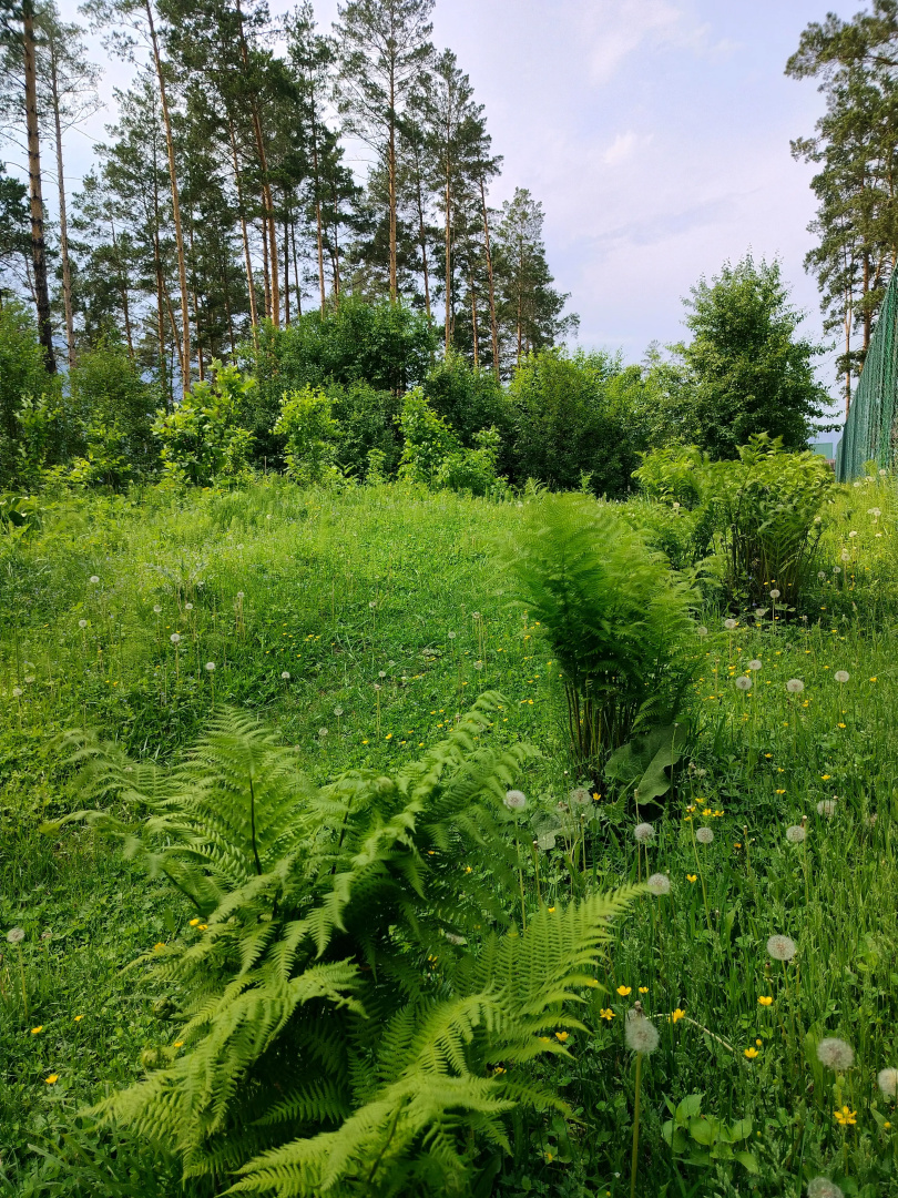 Гостевой Дом PANORAMA ALTAI