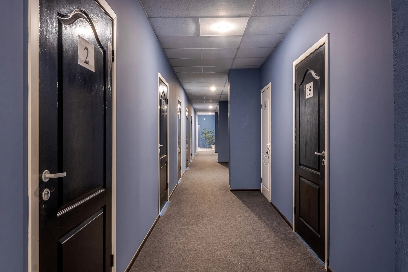 Хостел Терраса 10Л