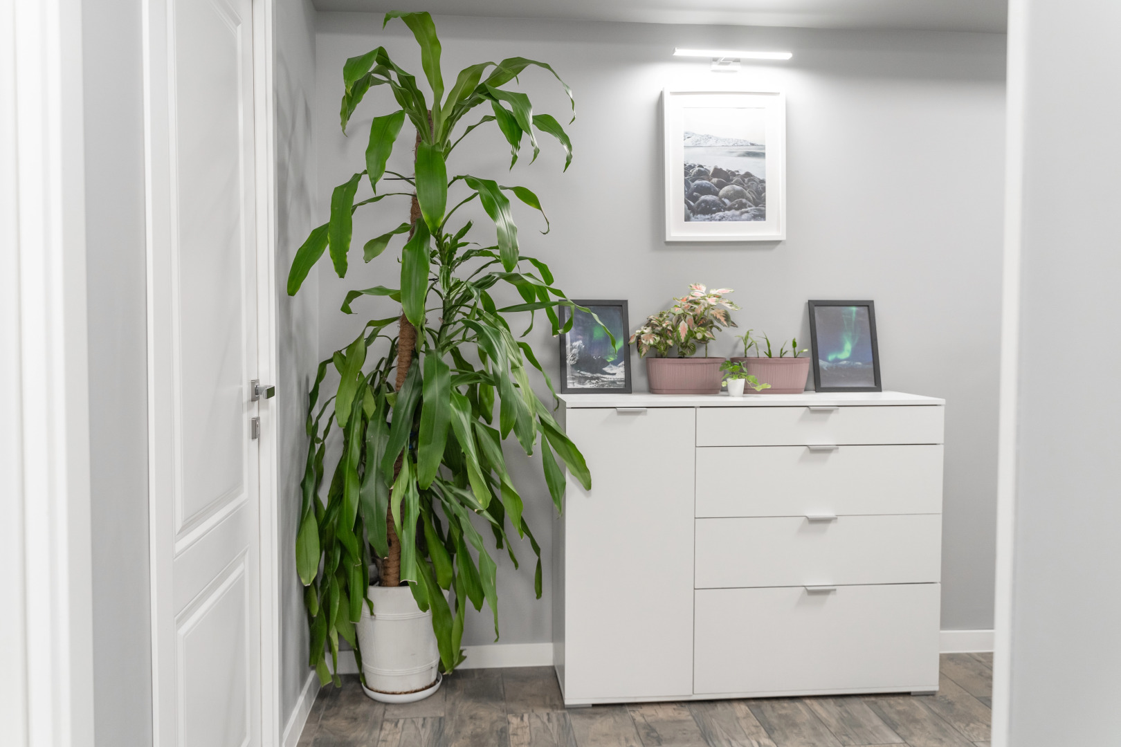 Мини-Отель Три Барсука