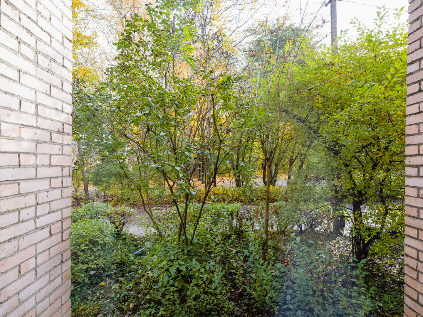 Апартаменты Студия в Воскресенске