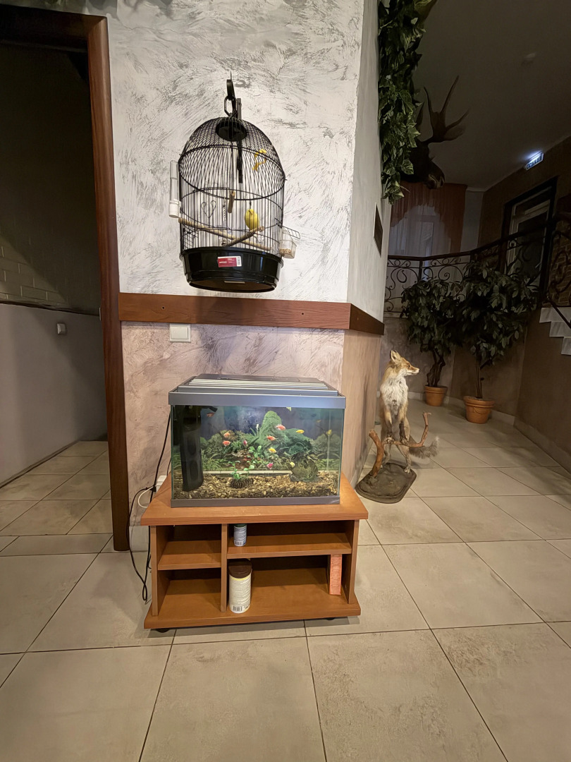 Мотель Лесной