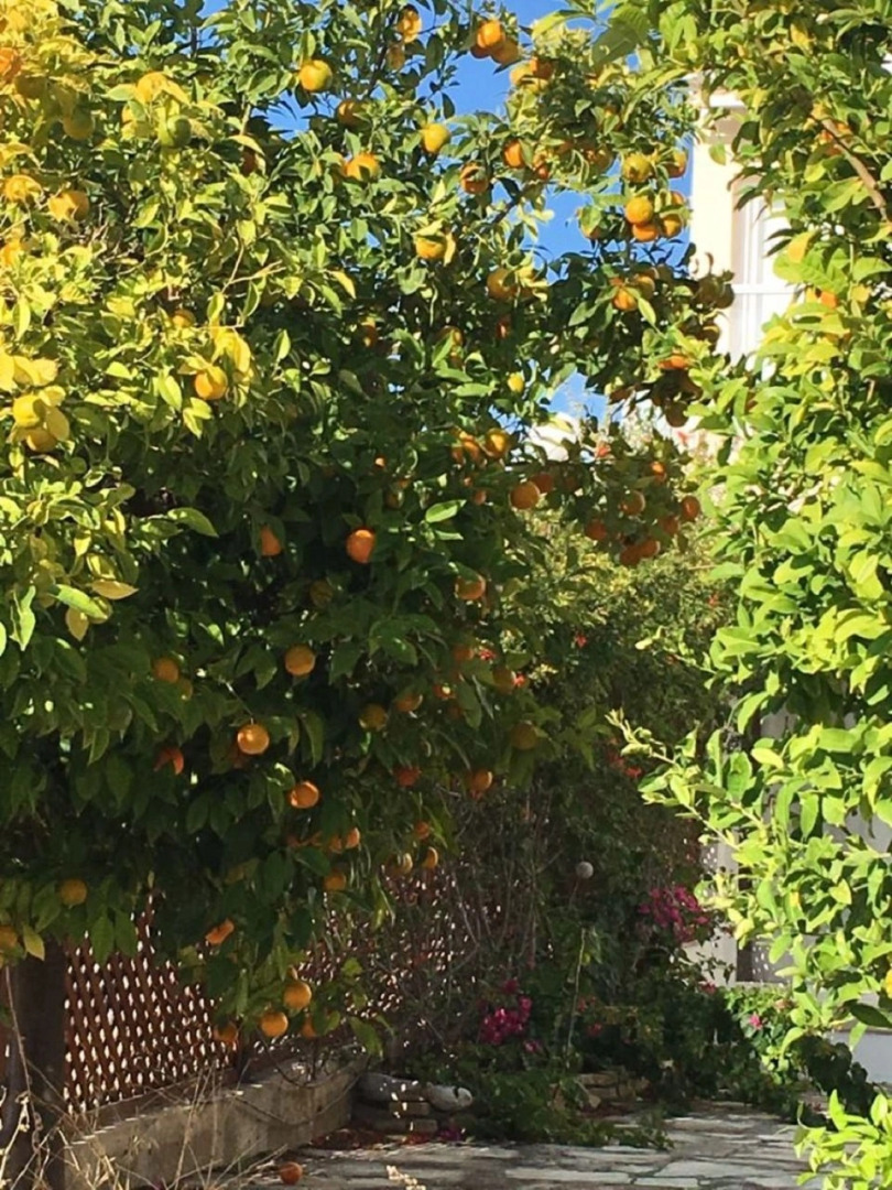 Апартаменты в Като Пафос