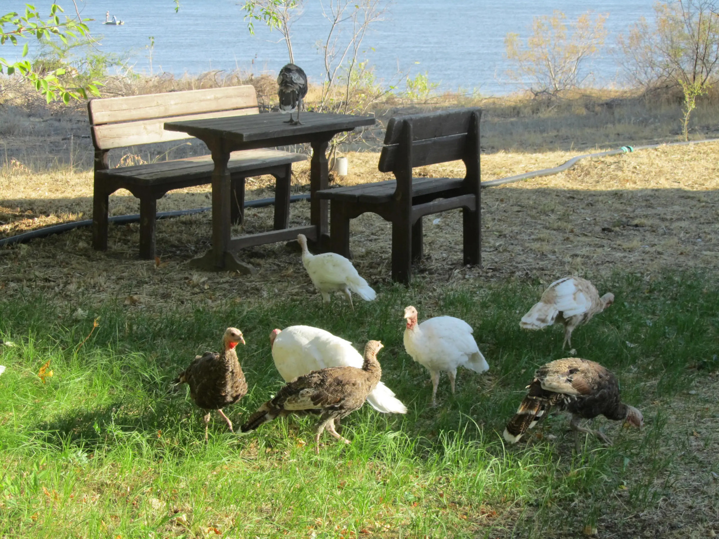 База Отдыха Найт Флайт