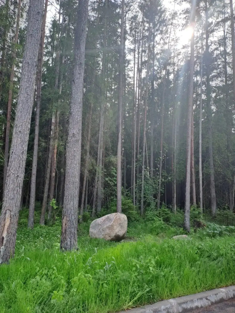 Частный дом У Залива