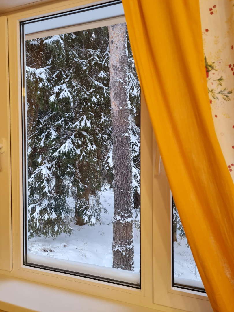 Апартаменты Валдай Пространство мечты 1