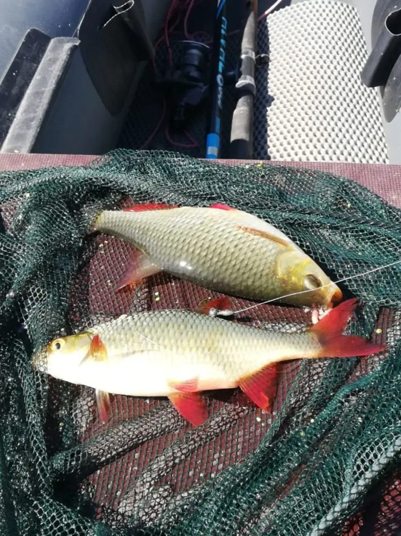 Жилое помещение Dao View Ясные просторы