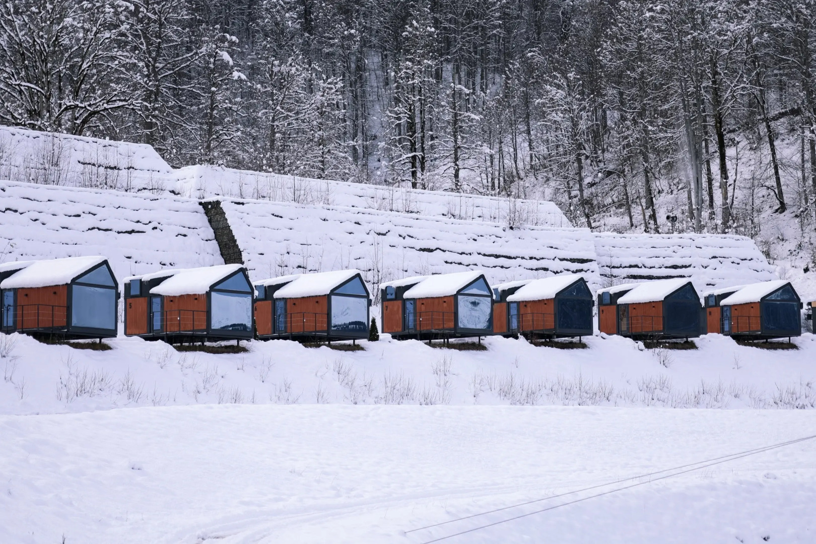 Глэмпинг Эндемик