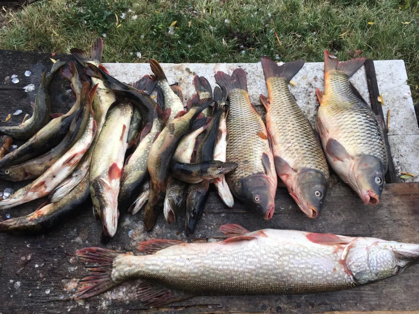 База Отдыха Заповедная Сказка