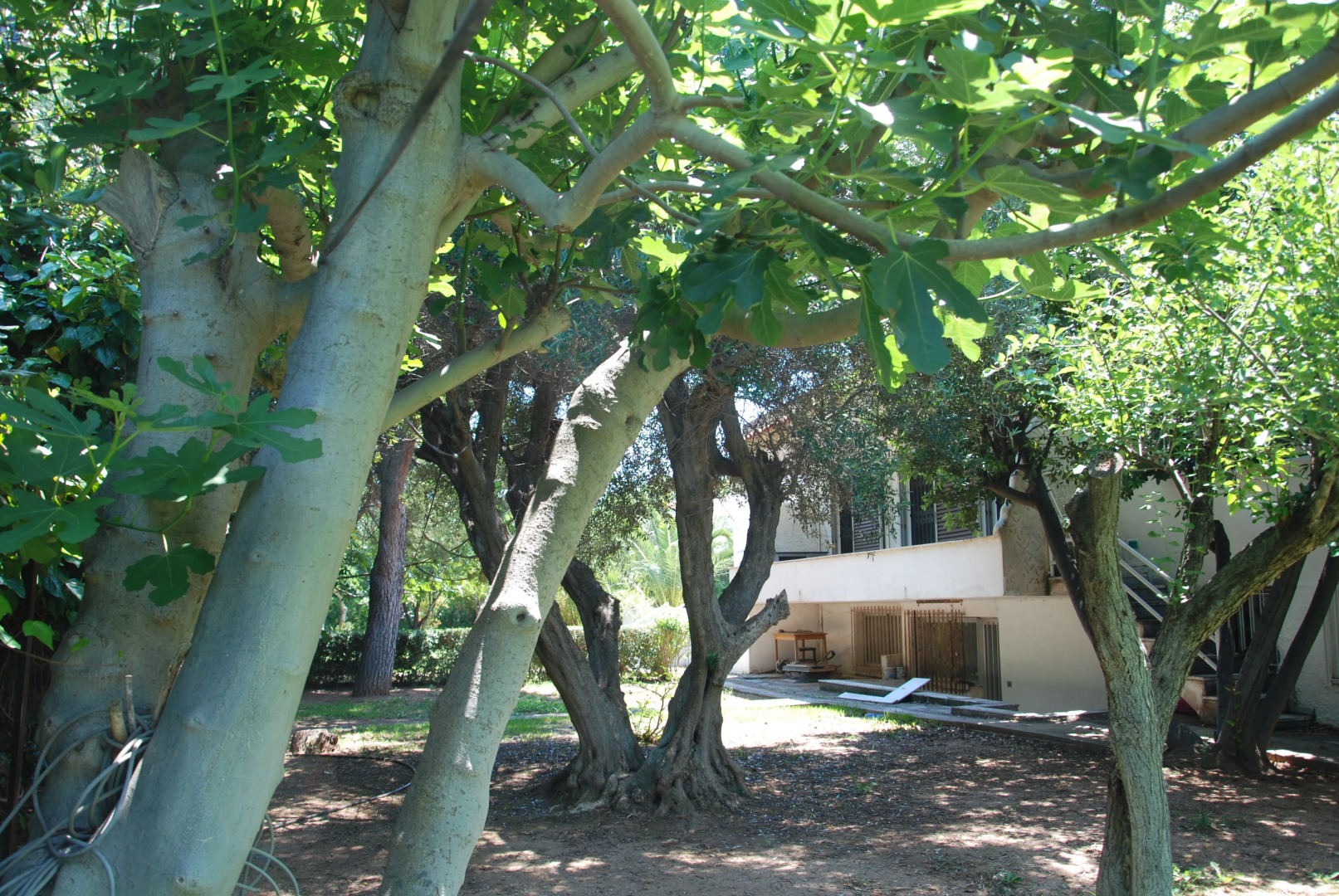 Вилла Alexander