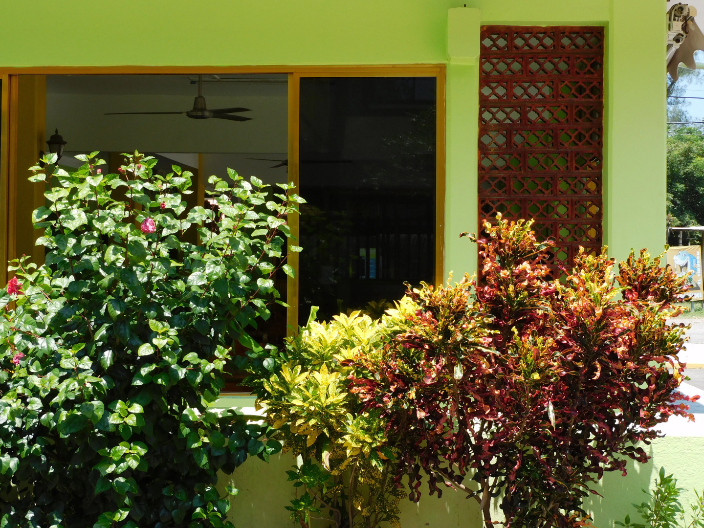 Casa de Huéspedes Yoli By Rotamundos