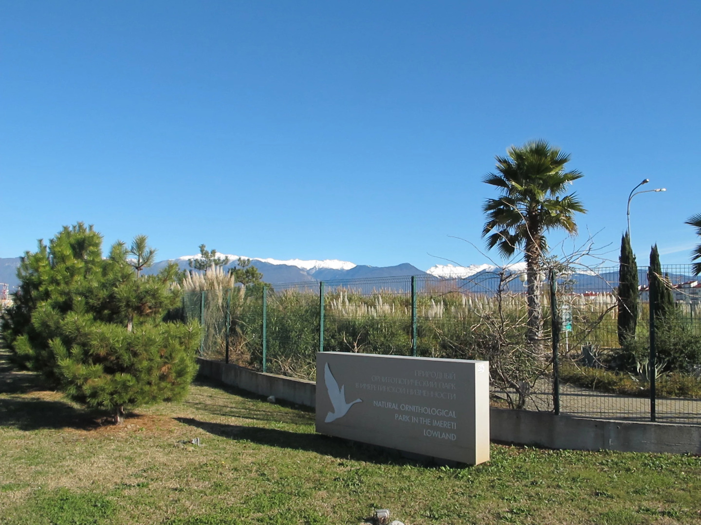 Апартаменты на Старообрядческой 62