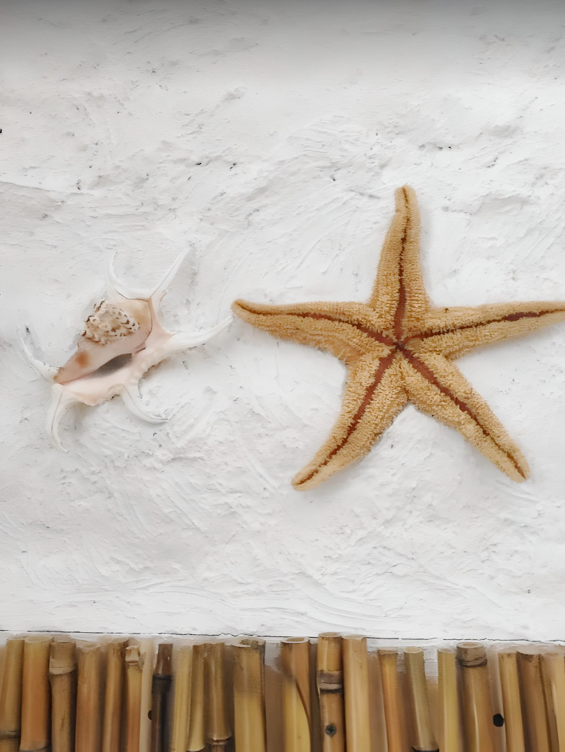 Вилла Тропик Увильды