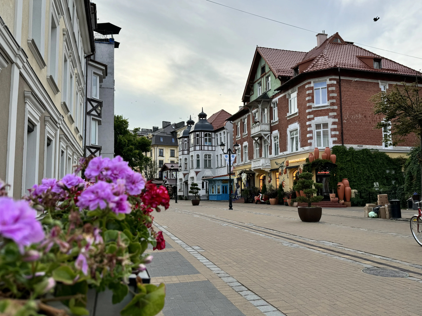 Квартира Мяу