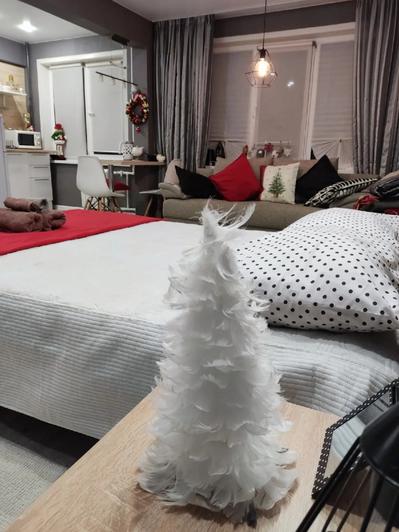 Апартаменты Солнечная Студия Ирина