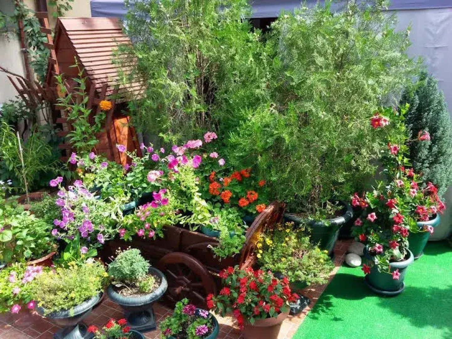 AdlerOk Guest House