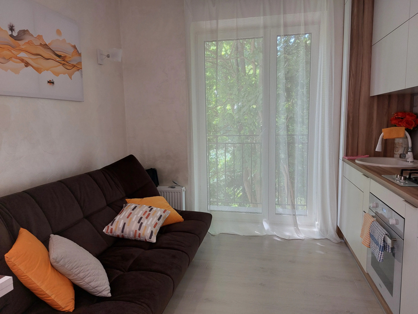 Апартаменты Ольга Пионерский