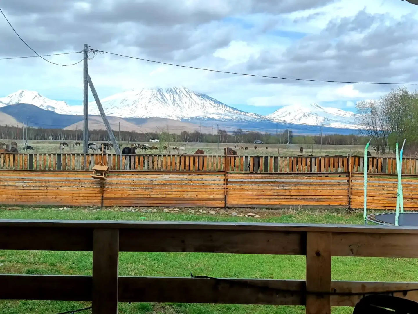 Частный дом Гостевой дом - Ферма