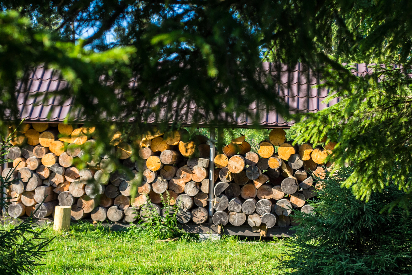 База отдыха Яркое