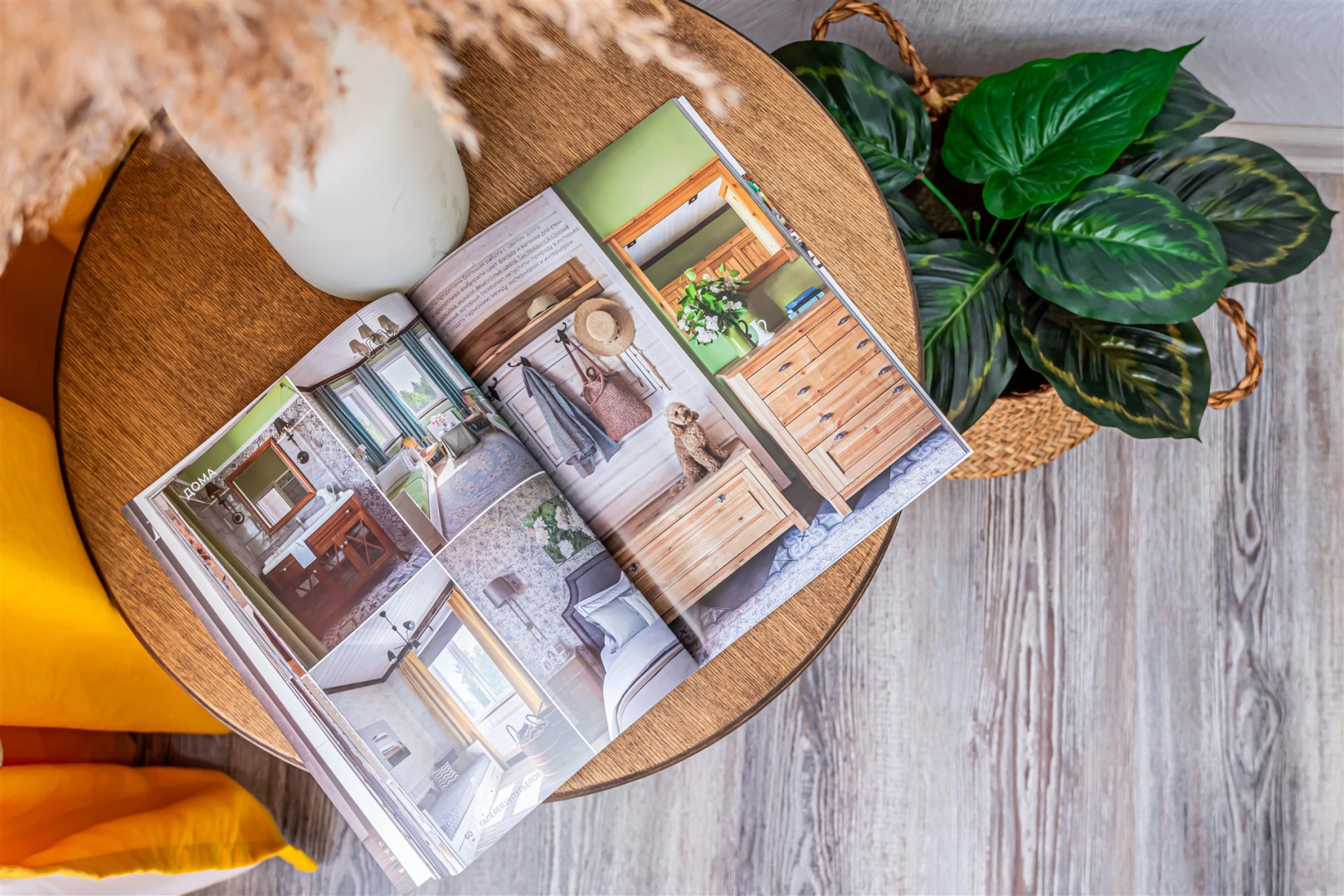 Квартира Эко-Студия у Космоса