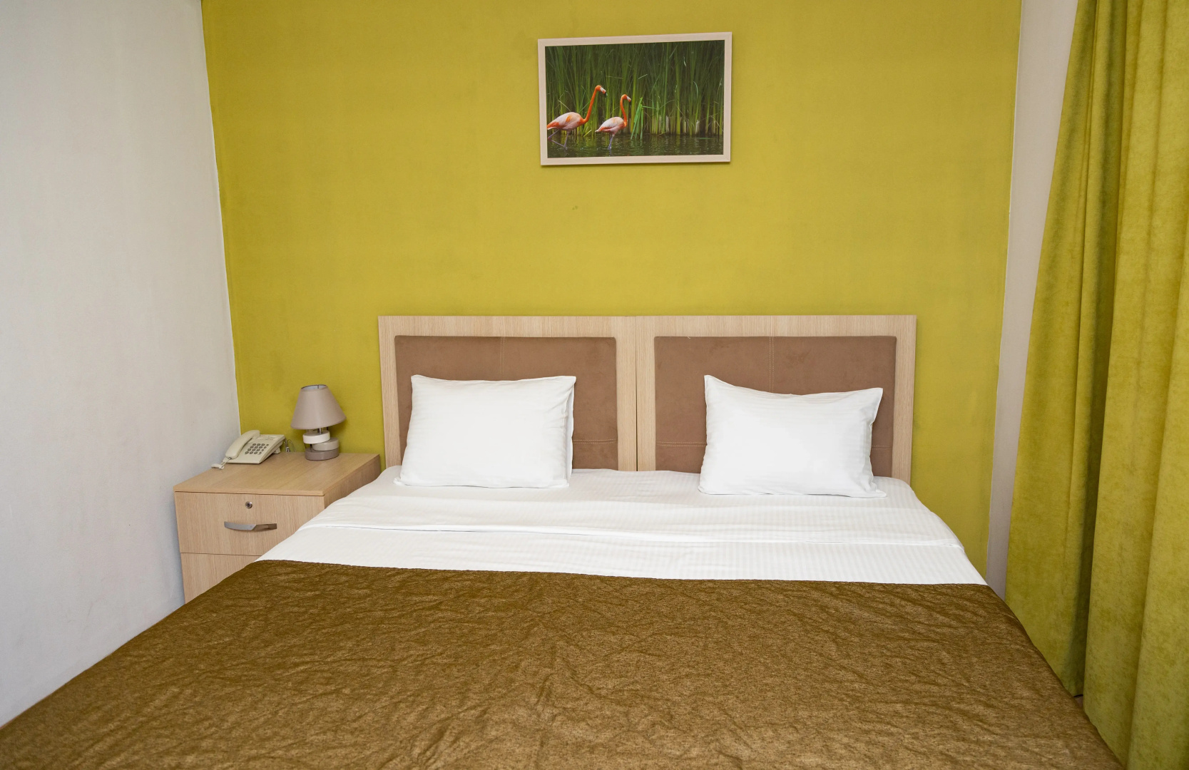 Отель Flamingo Baku