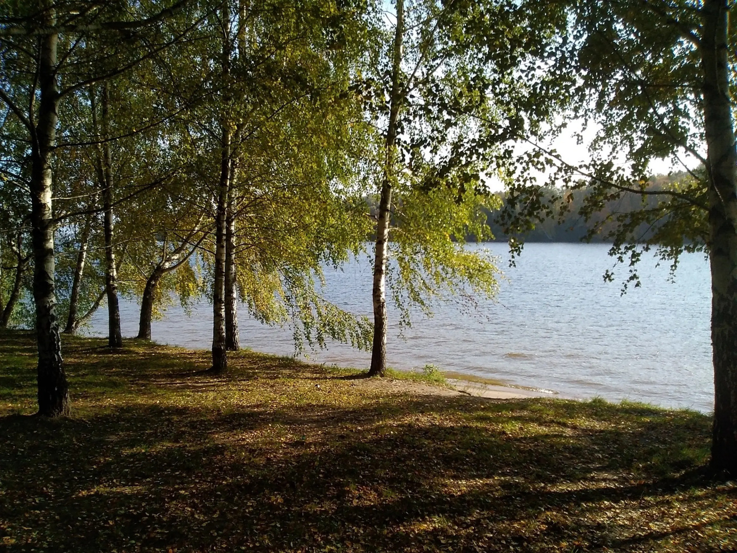 Гостевой домик Слободка 74