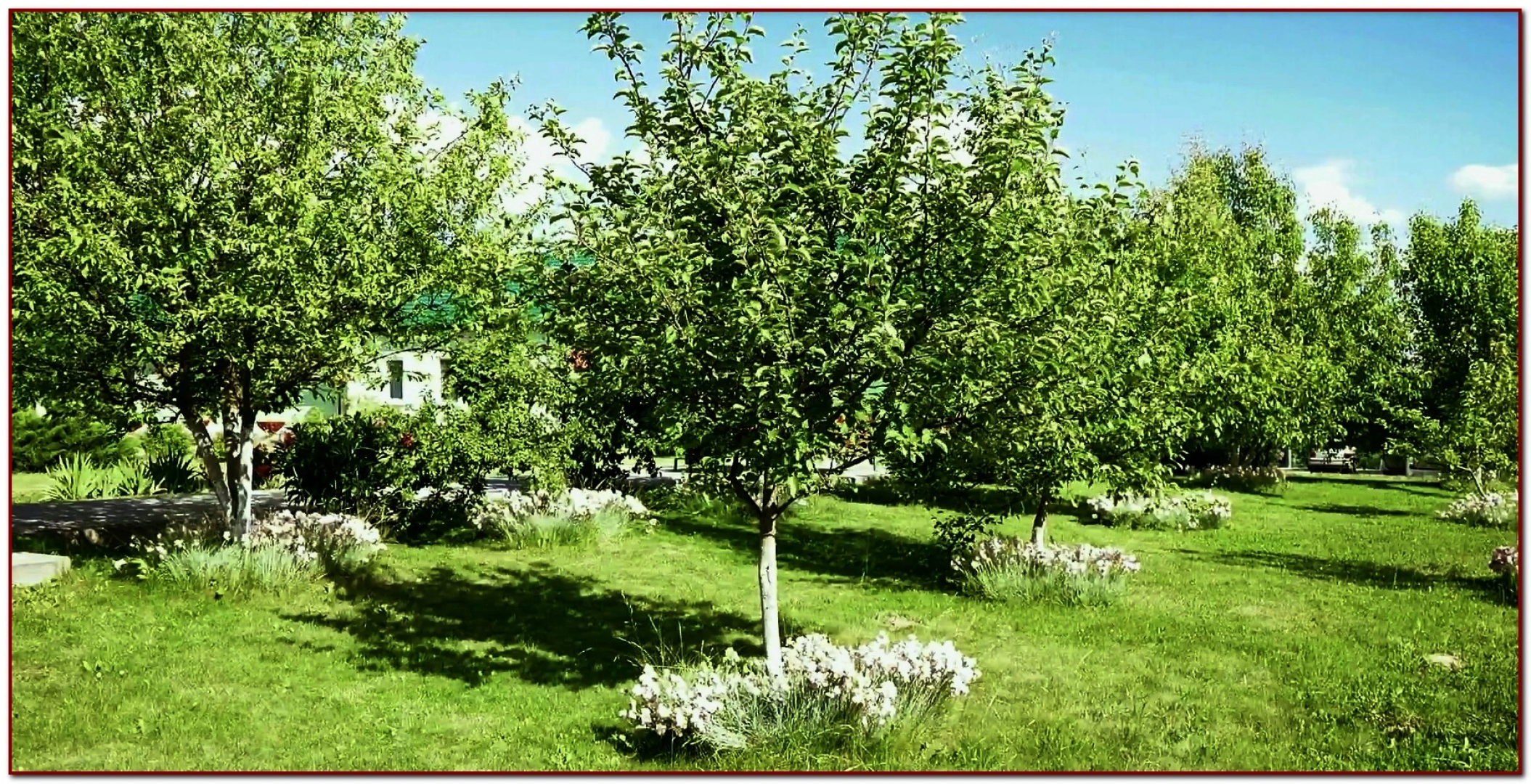 Отель Дворянское гнездо