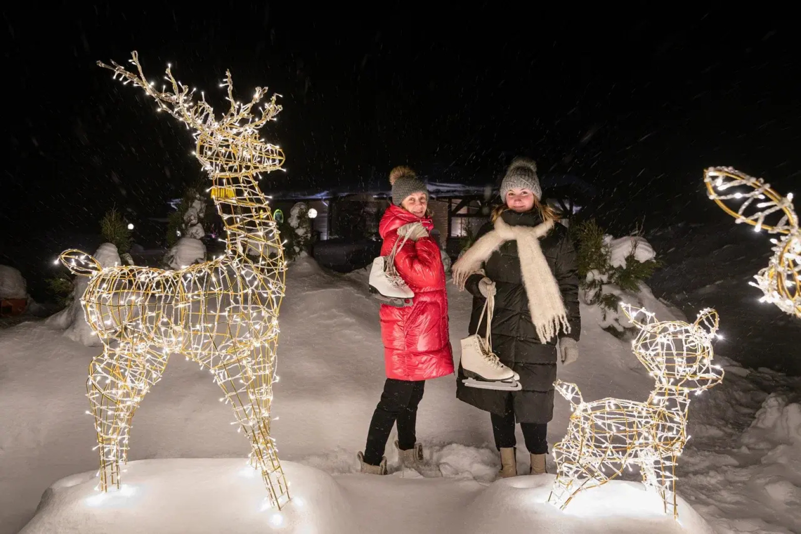 Парк-отель Медвежья гора