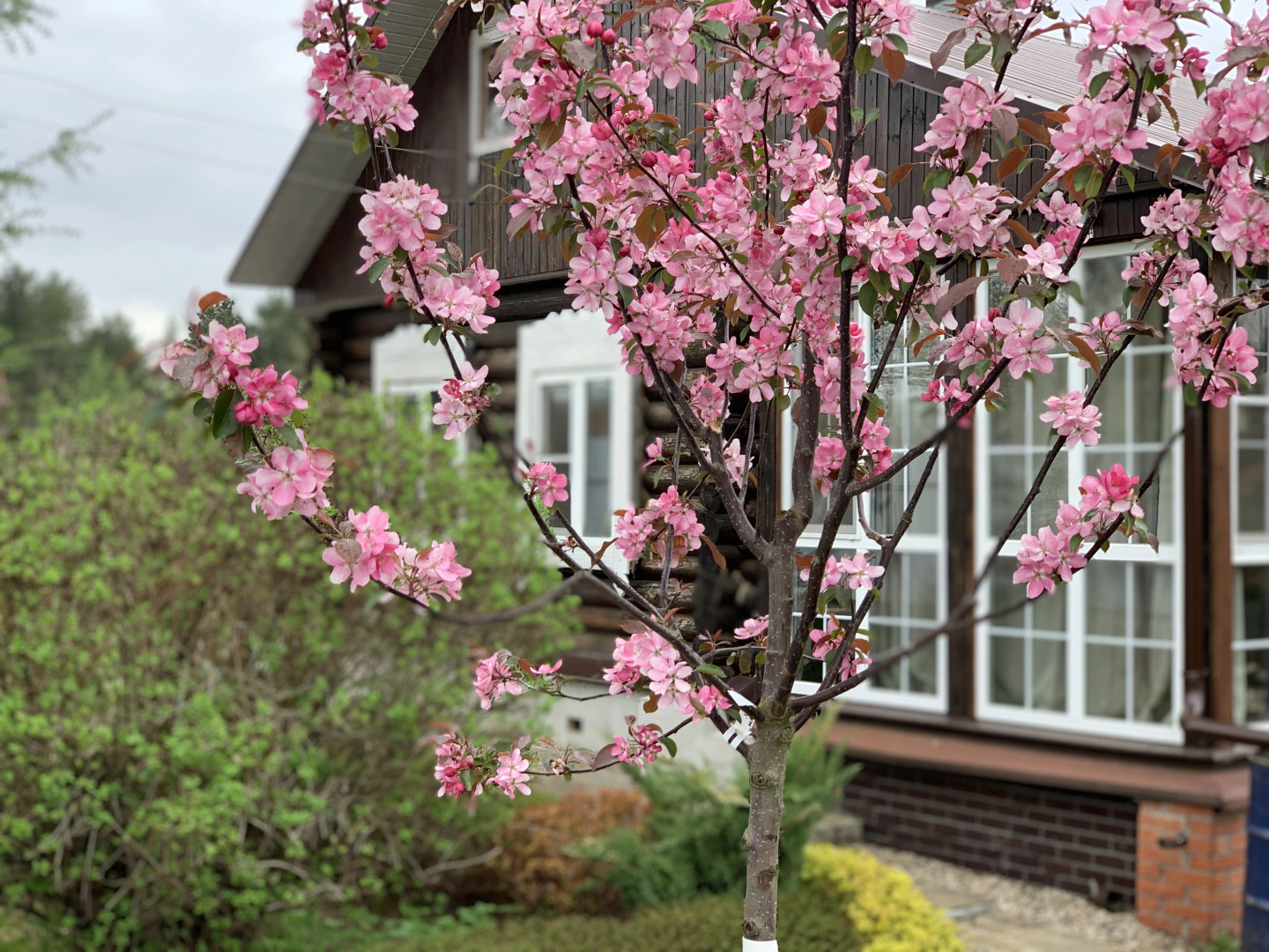 Гостевой дом Заречье