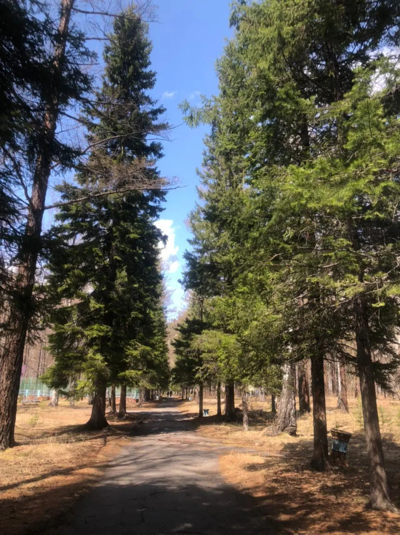 Отель Корона