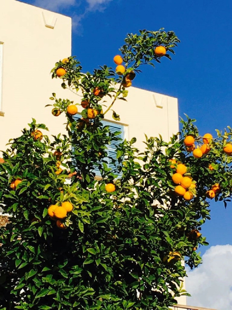 Апартаменты в Като Пафос