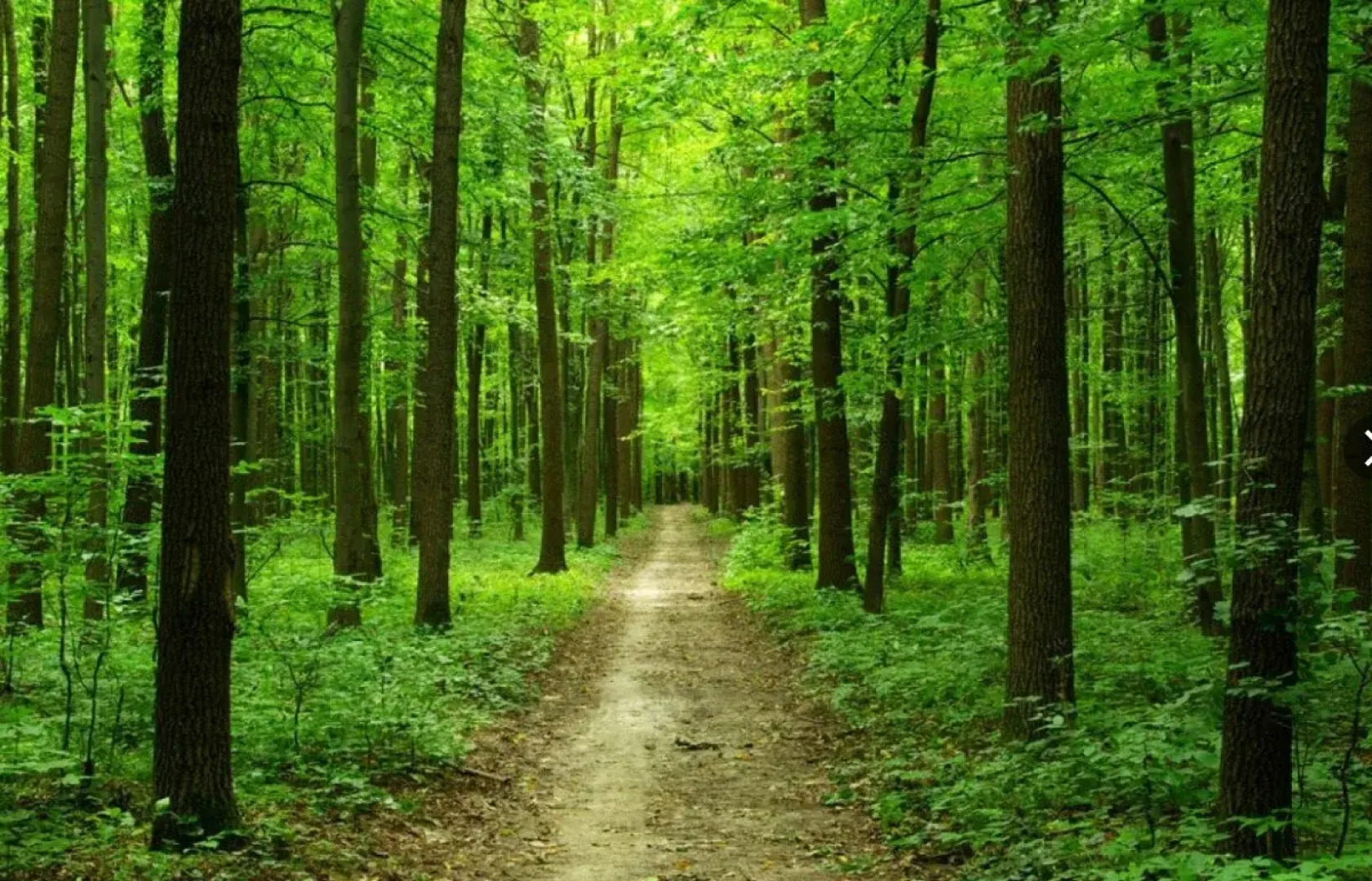 Тест тест тест (НЕ ЯВЛЯЕТСЯ ОТЕЛЕМ - НЕ ДЛЯ БРОНИРОВАНИЯ)