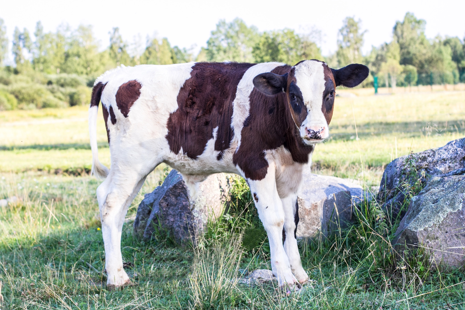 База отдыха Яркое