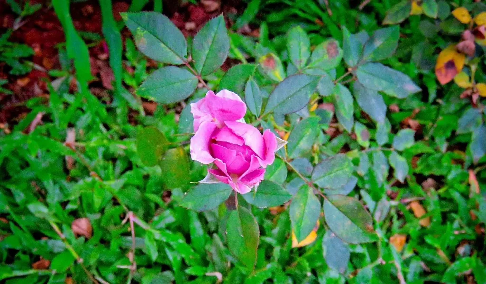 Отель Waasala Leisure