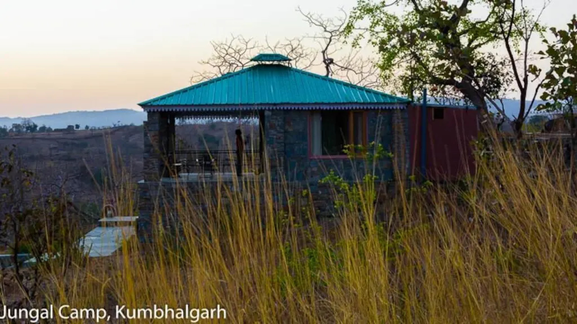 Отель Jungle Camp Resort