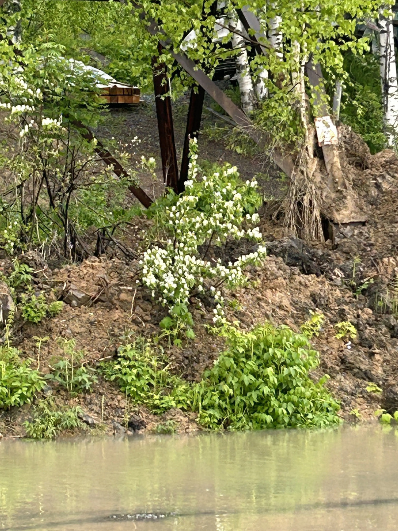 Частный Дом Брусника № 1