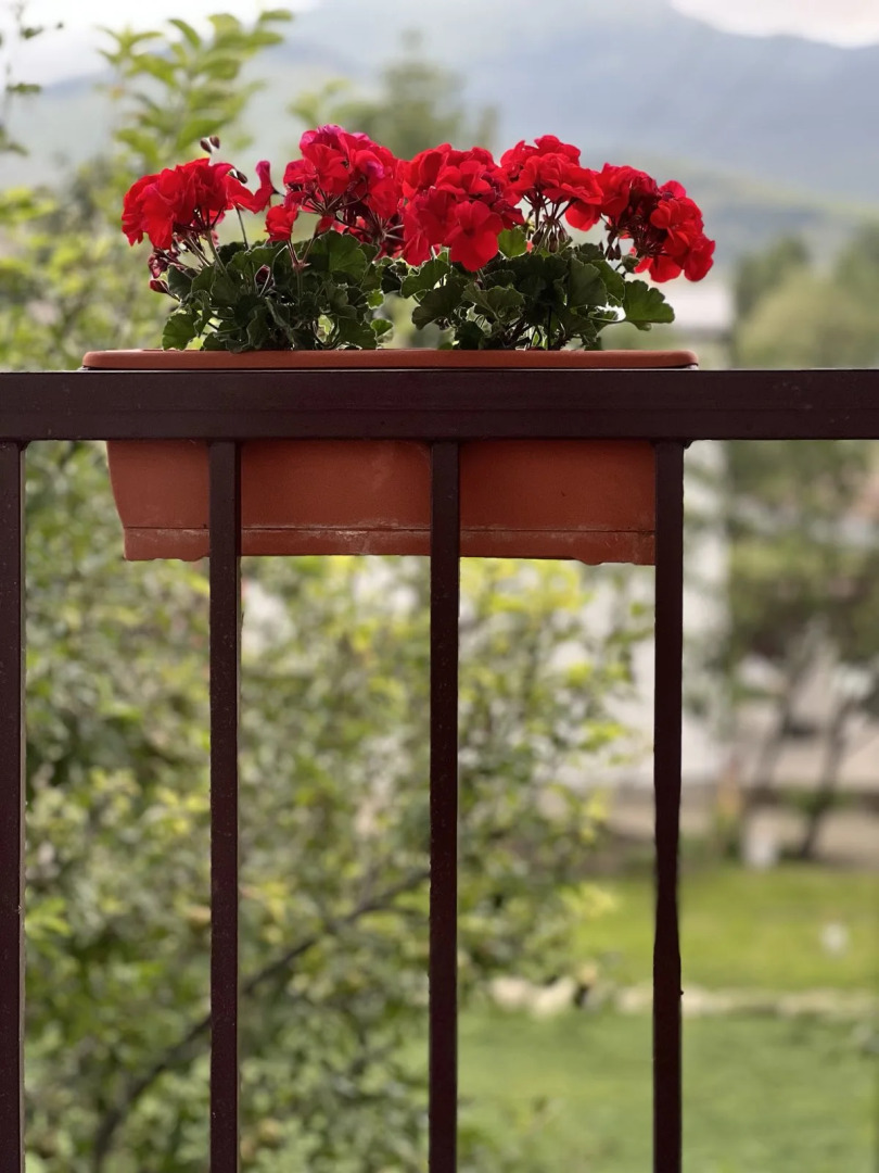 Гостевой дом  Green Agarak