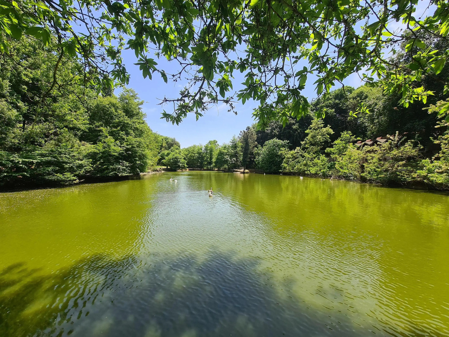 Polonezköy Country Club & Accommodation in the Wildlife Park