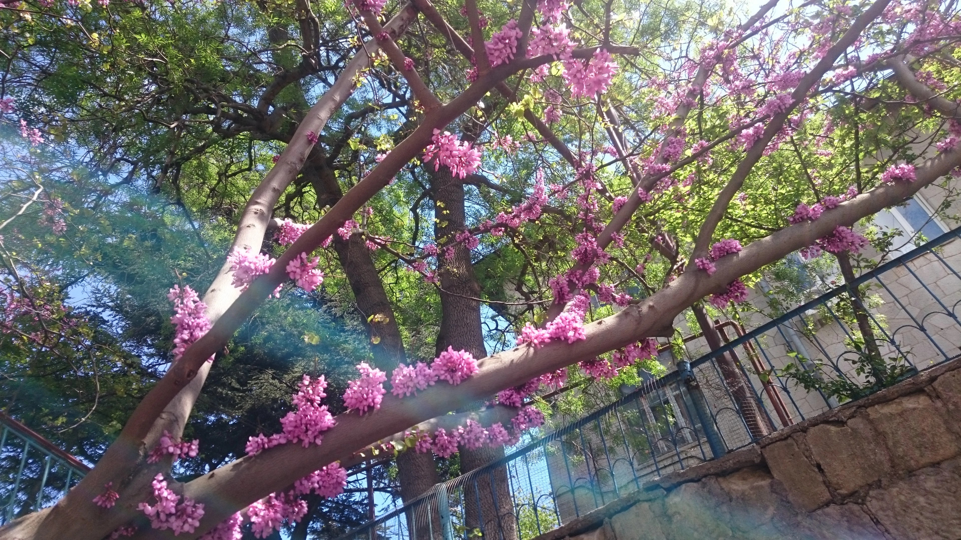 Na Pereulke Sverdlova Hostel