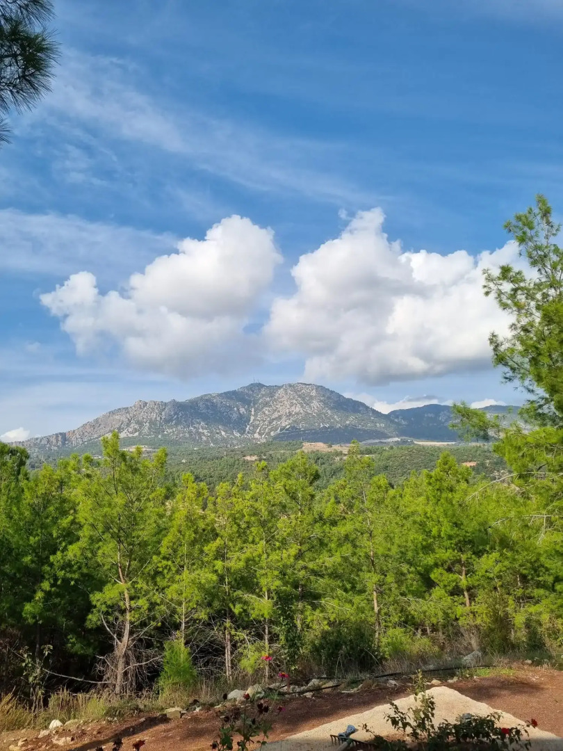 Вилла Badem Evleri