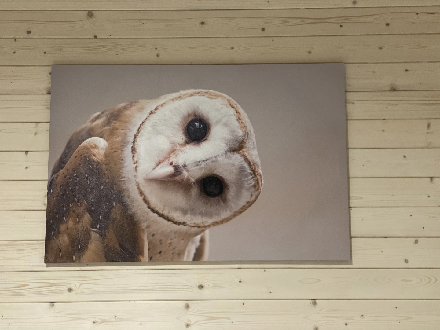 База отдыха Sova