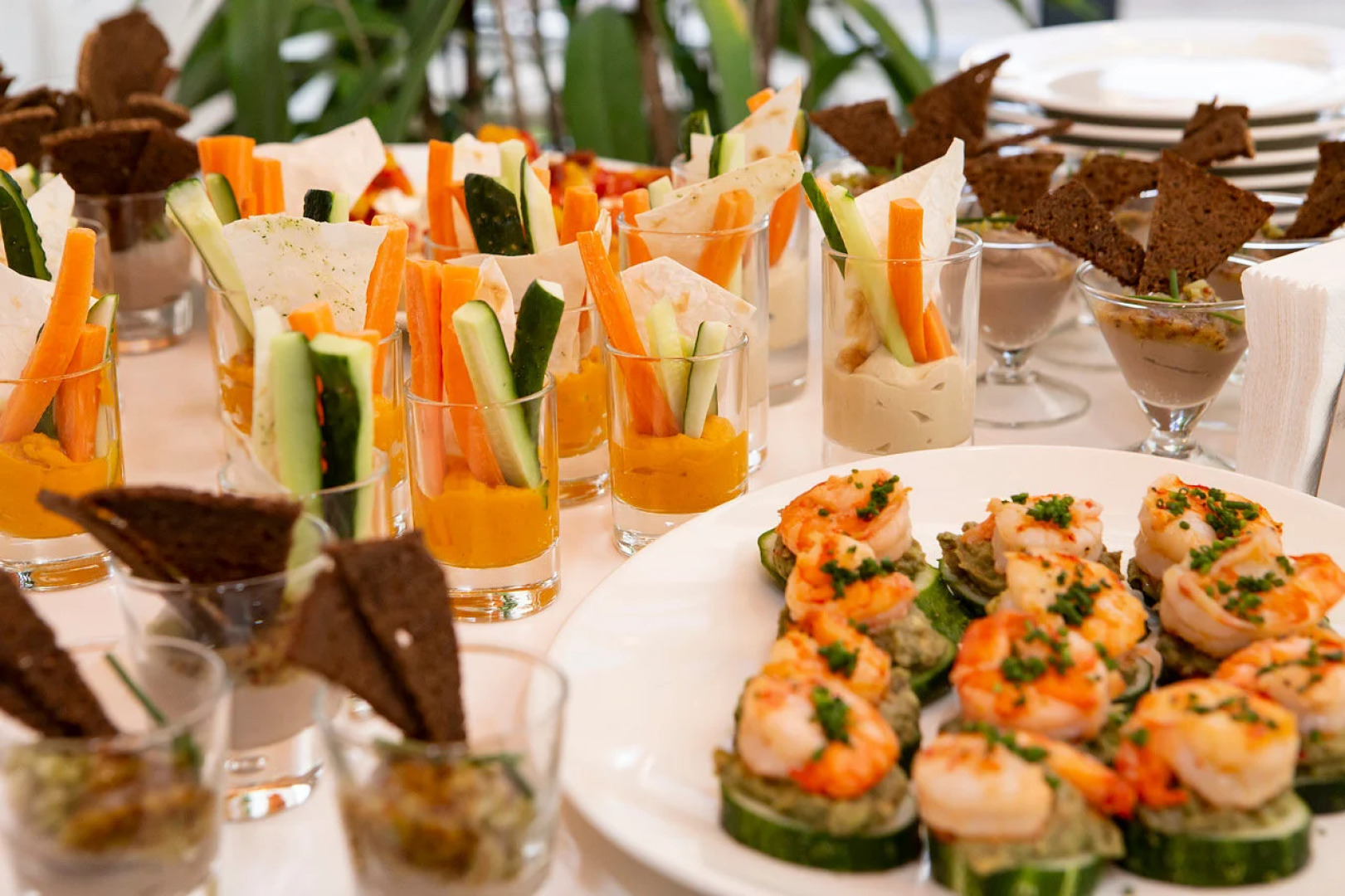 Отель Теплица Парк